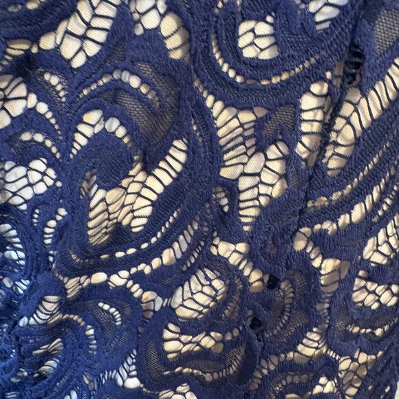 ❤️GORGEOUS LACE TOP w/NUDE LINING LARGE - Picture 4 of 5